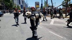 policial-leva-cao-nos-bracos-no-desfile-da-independencia-em-fortaleza;-veja-video